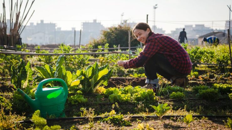 Be Part of a Community Garden