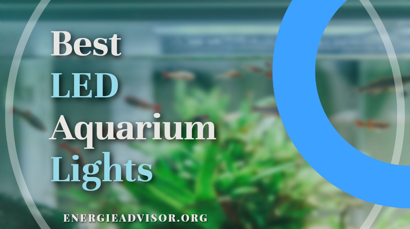 Best LED Aquarium Lights